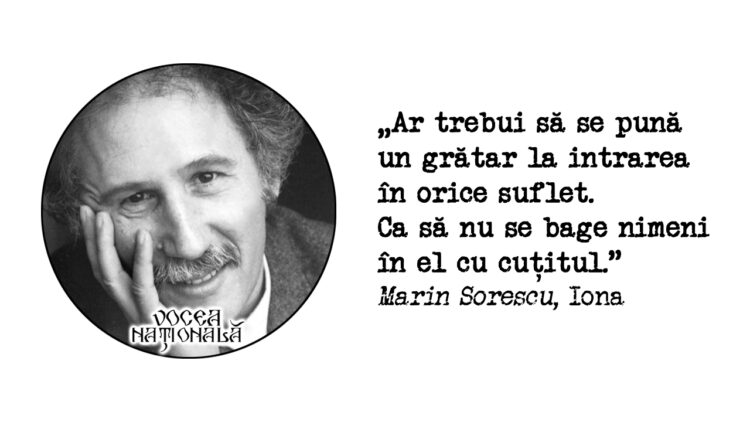 Intrarea In Orice Suflet Citat De Marin Sorescu.jpg