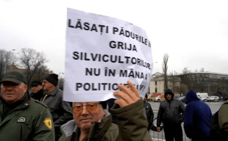 Paduri.png