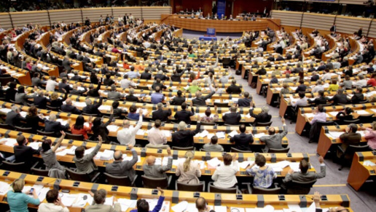 Avort Europarlamentari.jpg