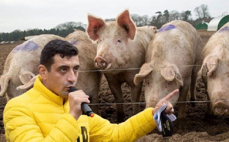 George Simion Porci Porc.jpg