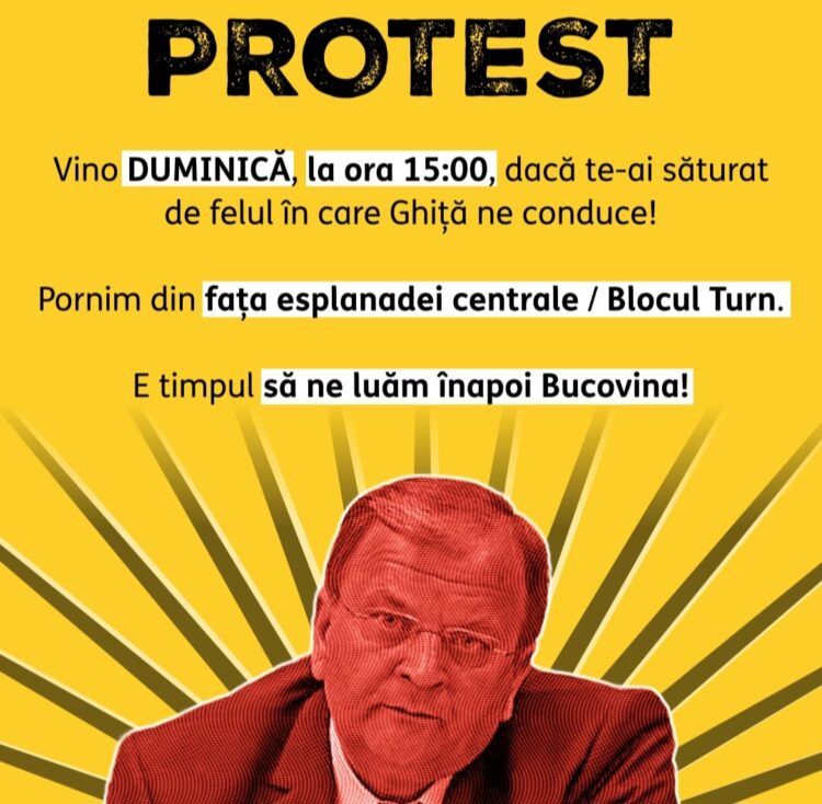 Flutur Demisia Protest Aur Suceava.jpg