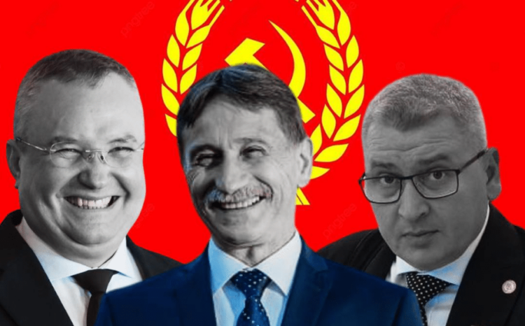 Pnl Alba.png