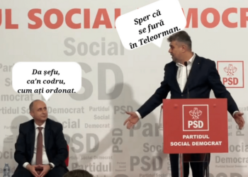 Ciolacu Gadea.png