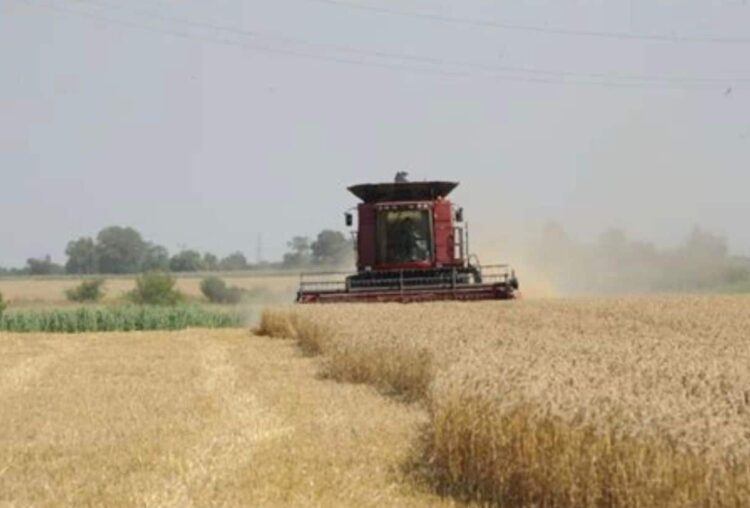 Agricultura.jpg